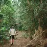Cairns