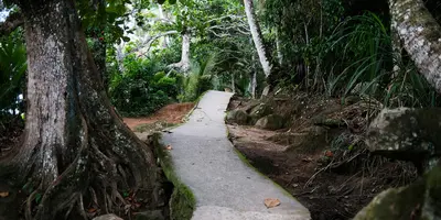 Party hostels in Ilha Grande, Brazil