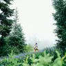 Whistler