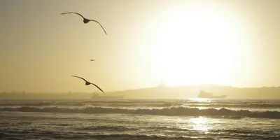 Party hostels in La Serena, Chile