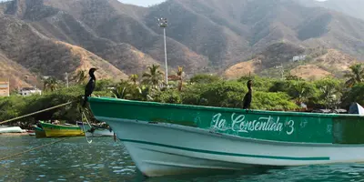 Party hostels in Taganga, Colombia