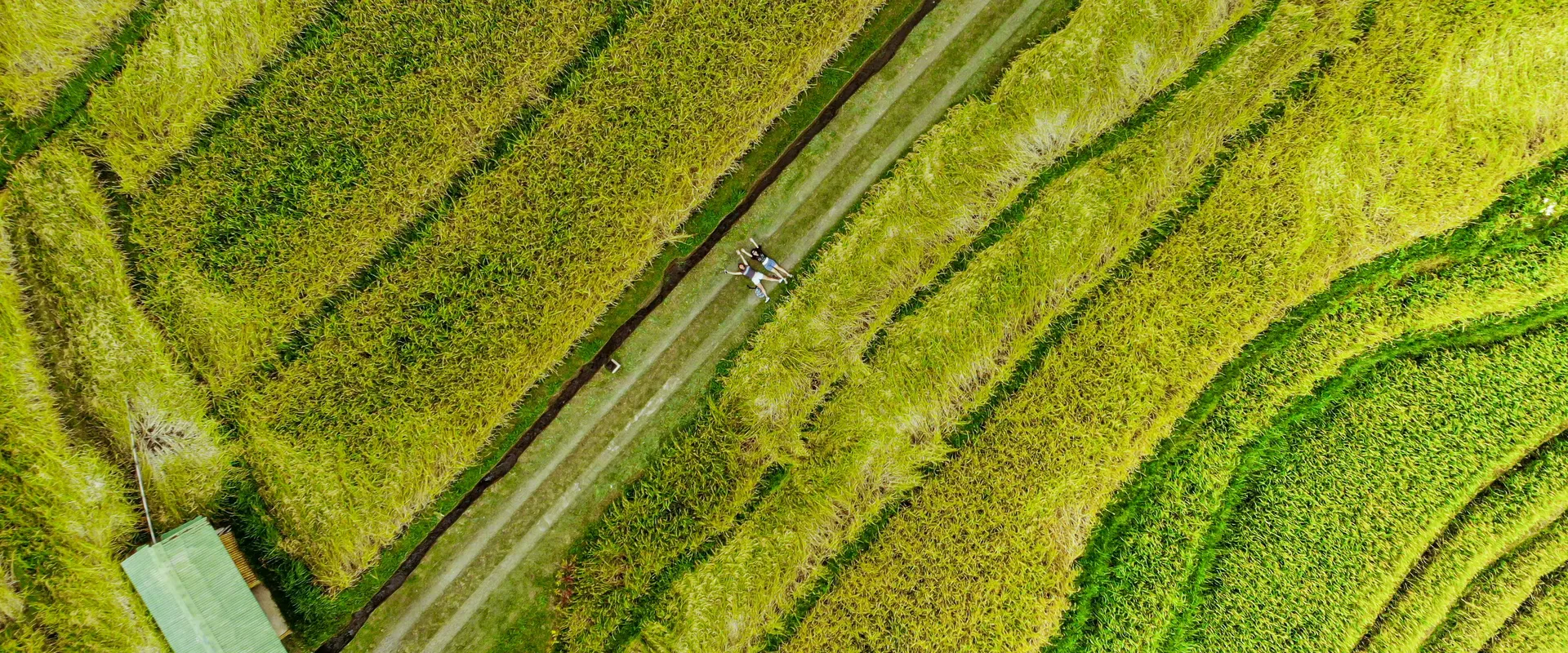 Pub crawls in Ubud, Indonesia