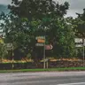 Cork