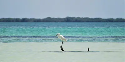Party hostels in Holbox Island, Mexico