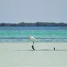 Holbox Island