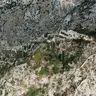 Kotor