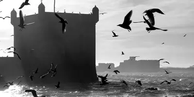 Party hostels in Essaouira, Morocco
