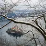Bled