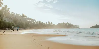 Party hostels in Mirissa, Sri Lanka