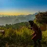 Ha Giang